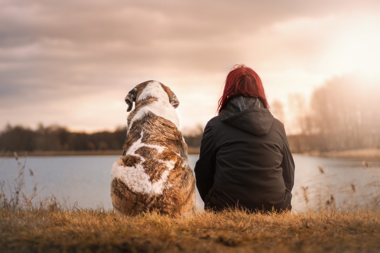 Connor Pet Health - we know that keeping our pets happy, healthy and engaged is extremely important part of all of our lives.
